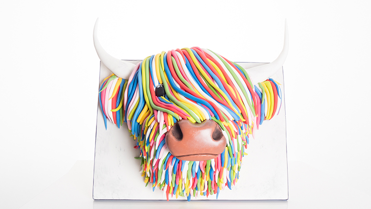 multicolor buffalo cake
