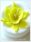Gum Paste Daffodil