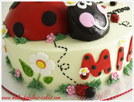 LadyBug  Miraculous ladybug party, Lady bug birthday cake, Ladybug  birthday party