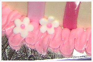 princess cake border detail