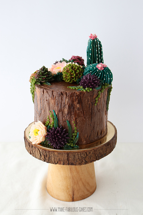 Succulent cake