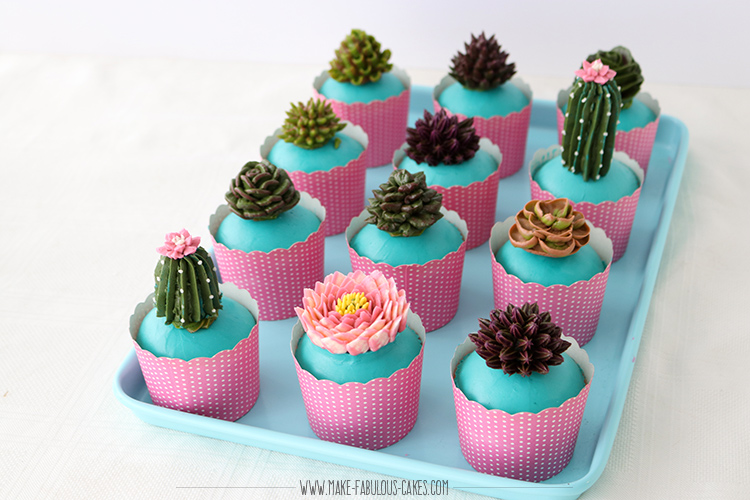 succulent cupcakes