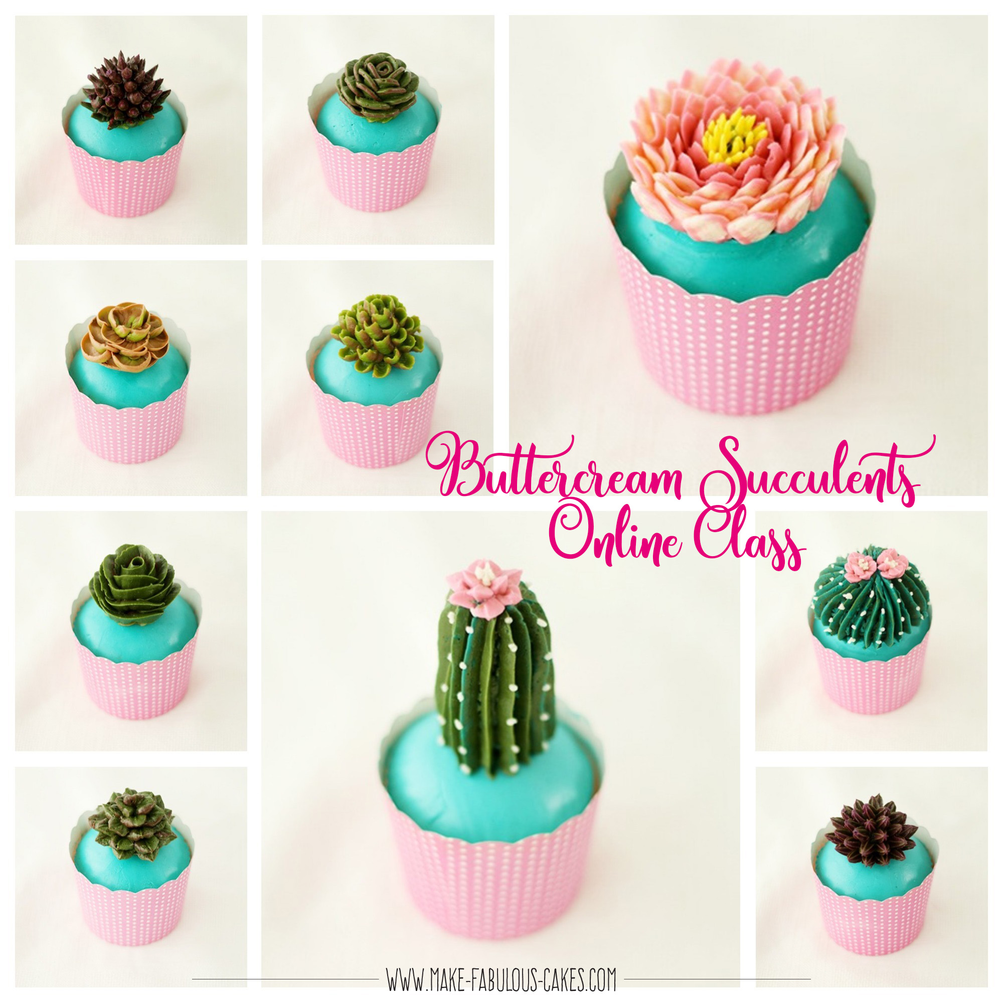 edible succulents