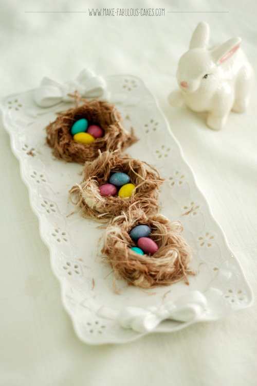 edible bird's nest