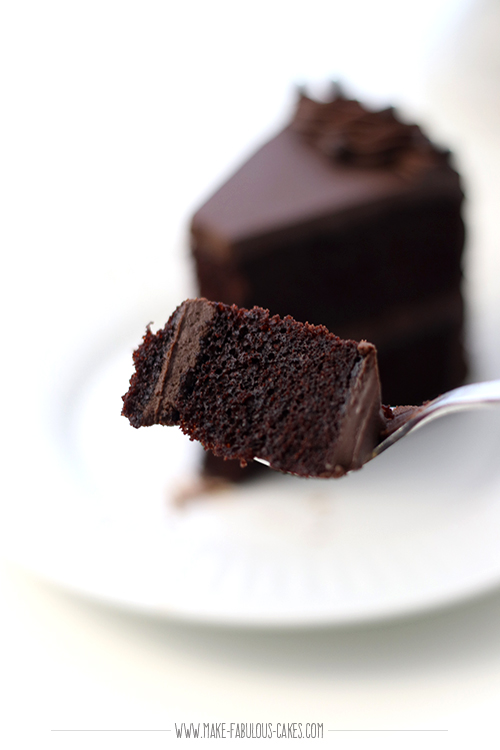 chocolate cake bite