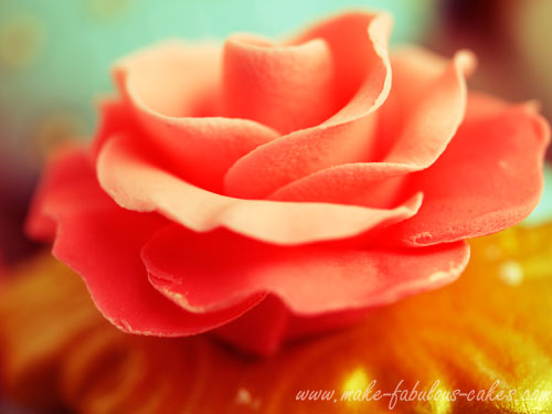 couture cupcakes rose