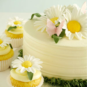 daisy-cake-2-sq