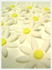 Easy Gum Paste Daisy