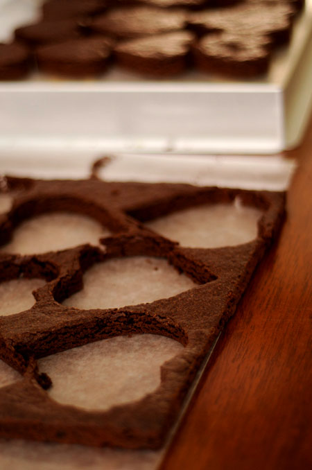 fudgy brownies